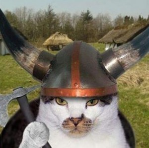 vikingcat